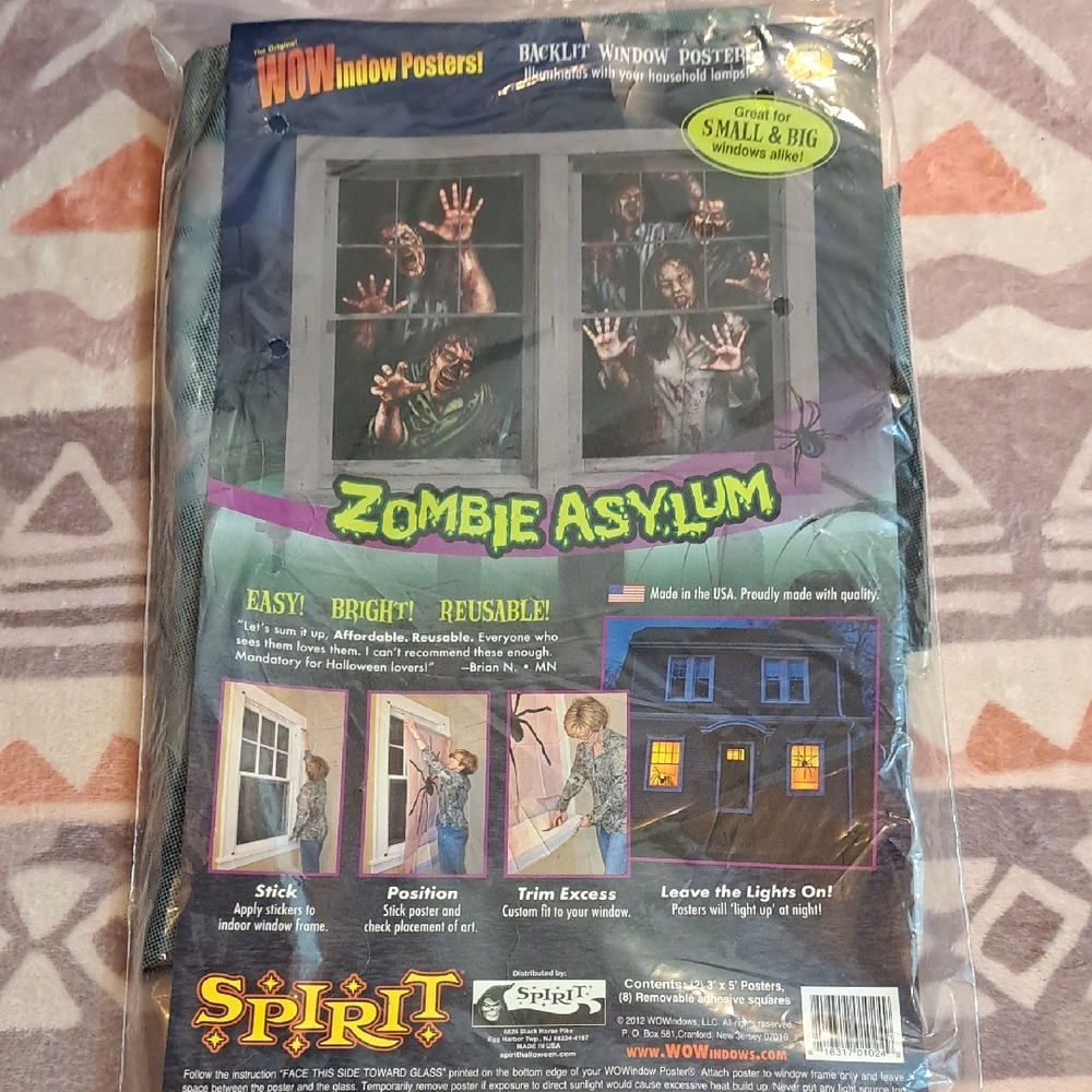 Spirit Zombie Asylum Window Poster - Black and Green